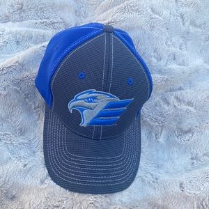 Eagles baseball hat